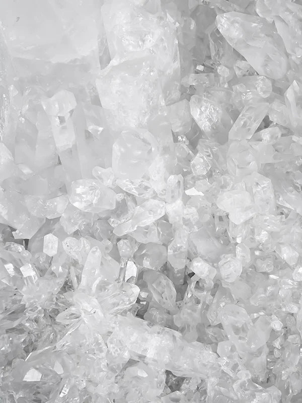 White Amber 白琥珀