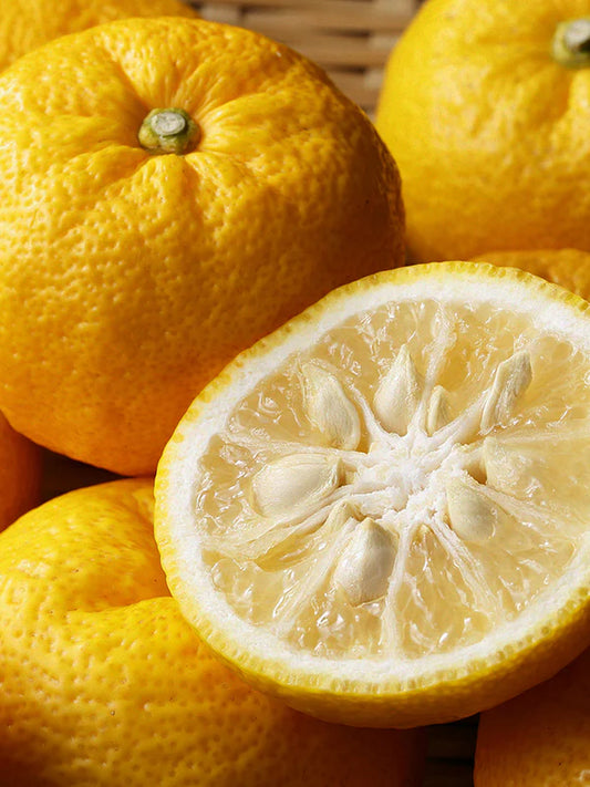 Yuzu 柚子