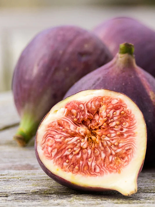Fig 無花果