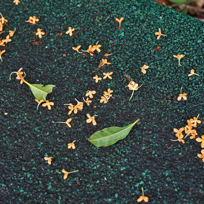 Hunigsēaþod Blōstm 蜜漬桂花